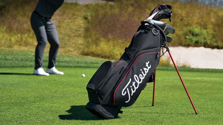 Bag with model, before removal